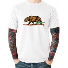 California Surf Bear